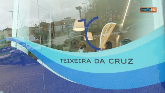 teixeira da cruz
